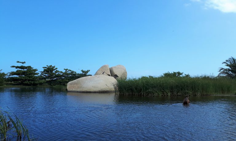 Tayrona Nationalpark - Esel überquert Fluss