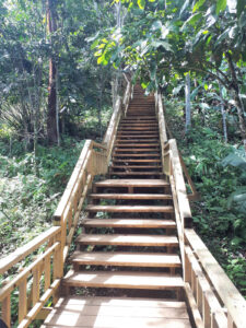 Treppen im Dschungelwanderweg Capurganga La Miel