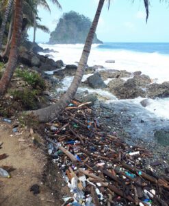 Plastikmüll am Strand mit Palme