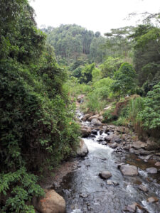 Fluss des Cascada del Amor Jardín