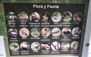 Schild mit Flora und Fauna