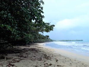 Verlassener Strandabschnitt im Cahuita Nationalpark