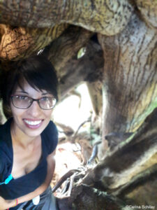 Portrait Carina im Ficus Baum