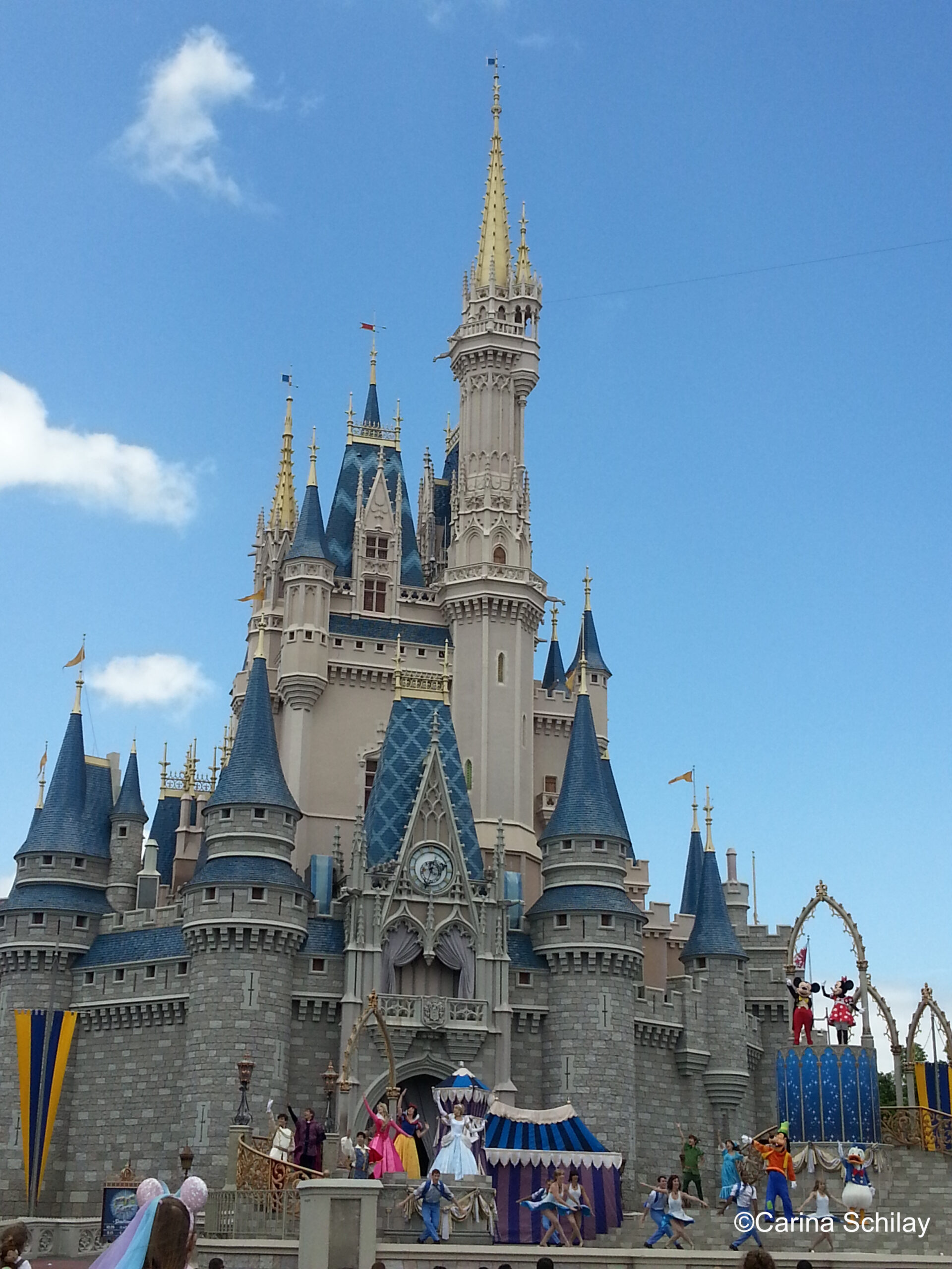 Disney Schloss im Disney World