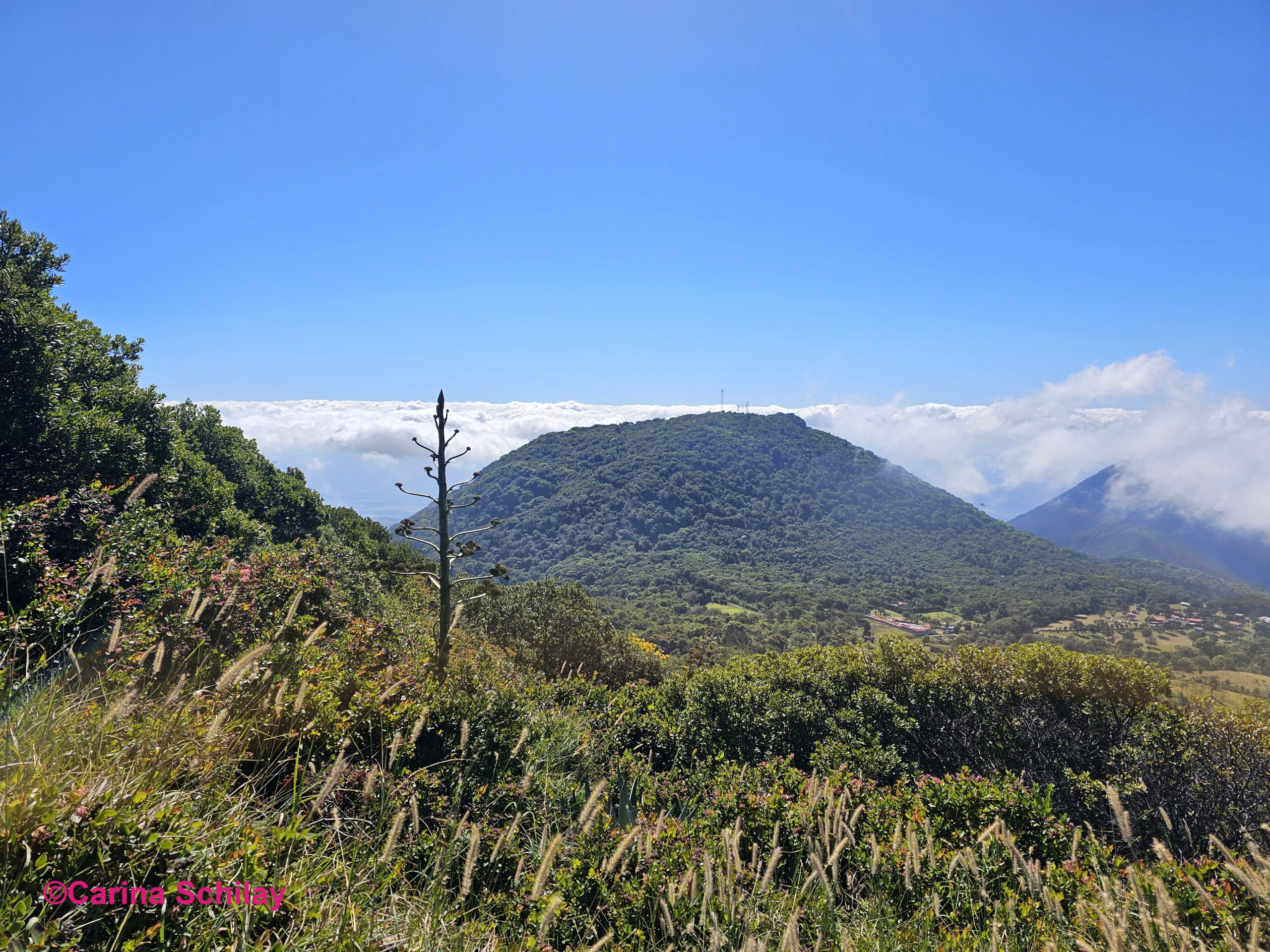Atemberaubende Aussicht auf einen dicht bewaldeten Vulkan vom Wanderweg des Santa Ana Vulkans aus, ein Zeugnis der üppigen Natur El Salvadors.