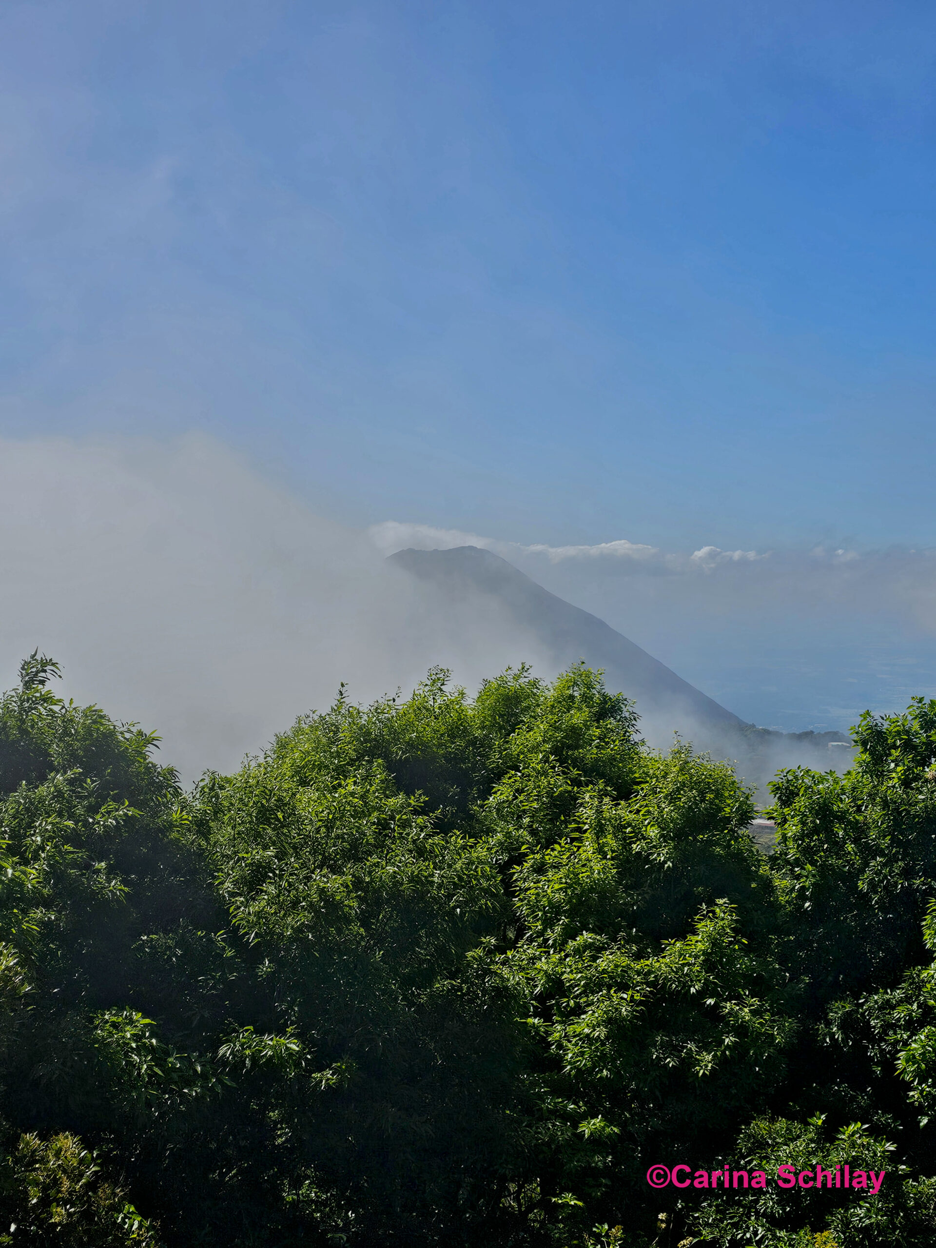 Üppiges Grün im Vordergrund mit dem mystischen Vulkan Izalco, der sich im Hintergrund hinter Wolken verbirgt.