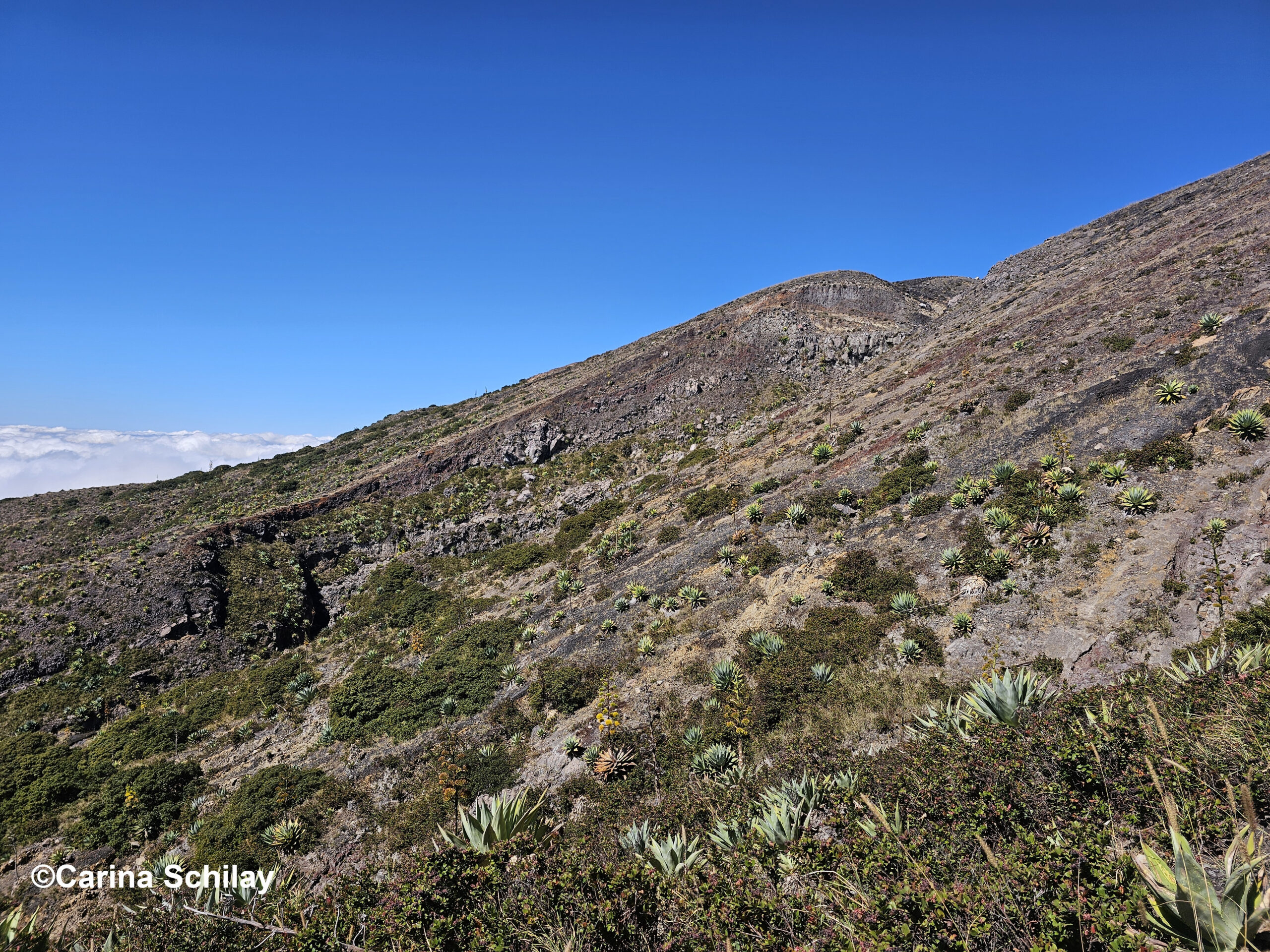 Karger Hang des Santa Ana Vulkans kurz vor dem Krater, ein Zeugnis der Naturgewalten