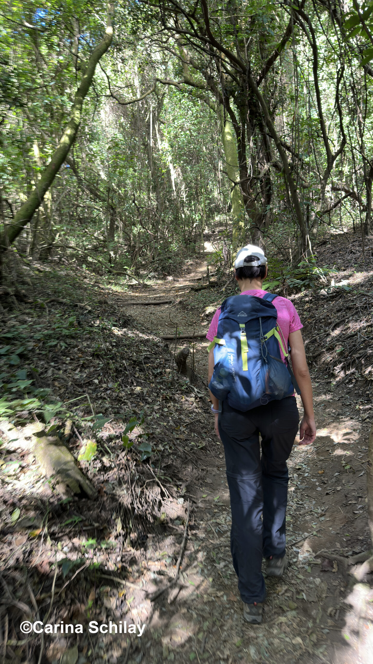 Wanderin auf dem Weg zum Eingang des majestätischen Santa Ana Vulkans, umgeben von der üppigen Vegetation El Salvadors.