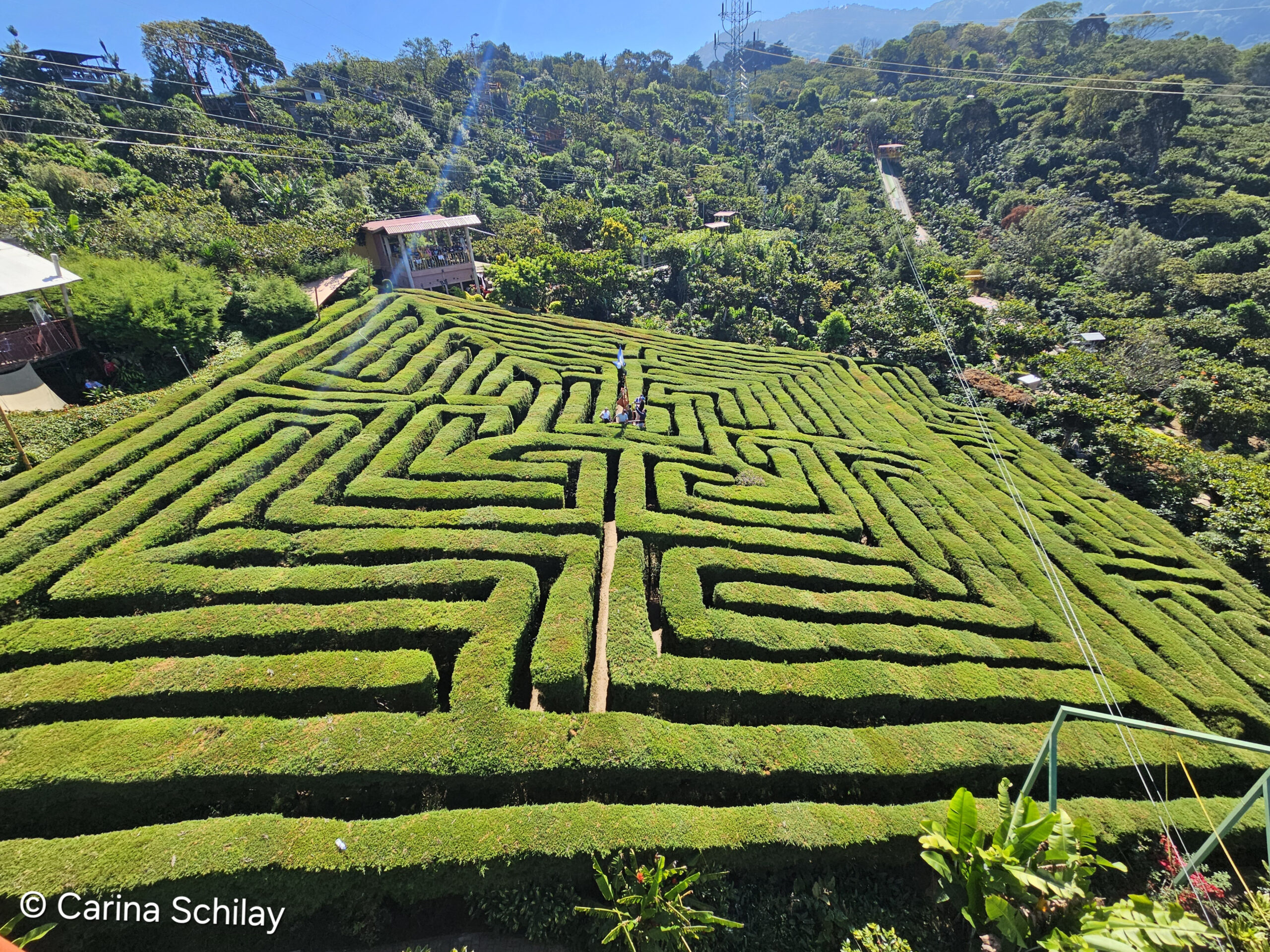 Blick auf das grüne, verschlungene Heckenlabyrinth von Apaneca in El Salvador unter strahlend blauem Himmel – ein Zeugnis für Abenteuerlust und Naturverbundenheit.