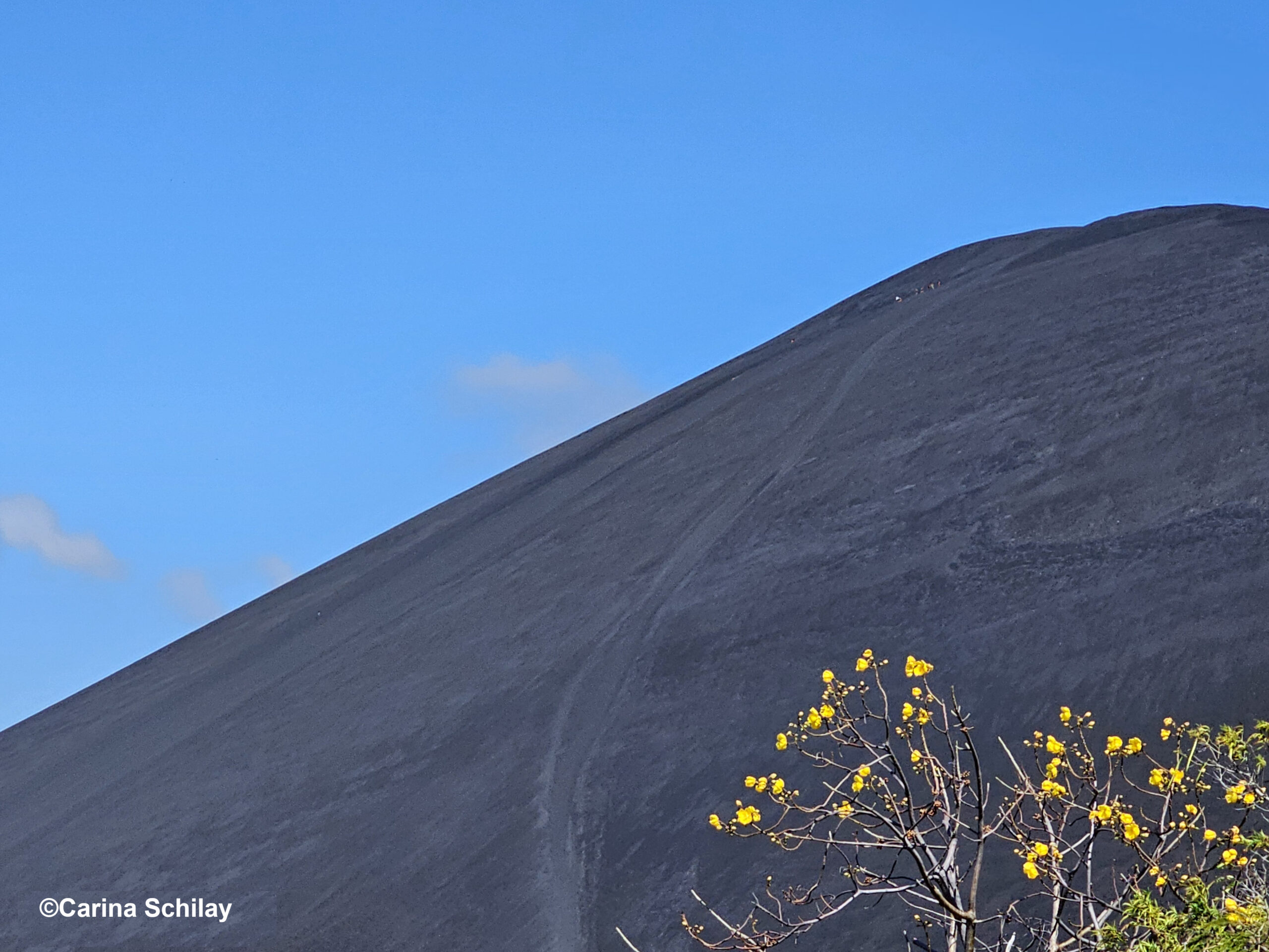 Abenteuerlustige am Gipfel des Cerro Negro in Nicaragua, bereit für eine rasante Sandboarding-Abfahrt, umgeben von der rauen Schönheit des Vulkans und leuchtend gelben Blüten im Vordergrund.