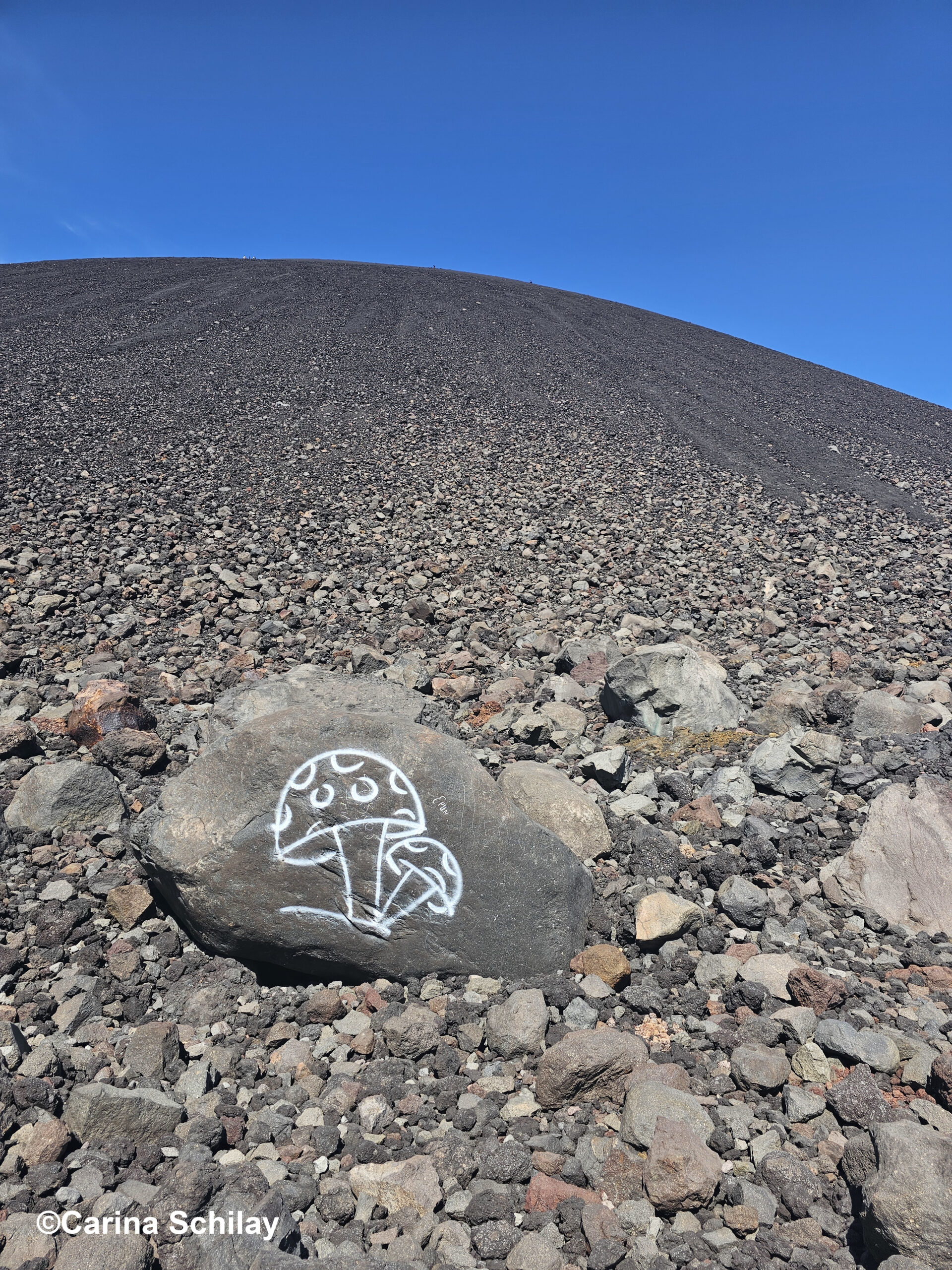 Ein weißes Pilzsymbol auf einem Stein vor dem dunklen Gestein des Cerro Negro in Nicaragua.