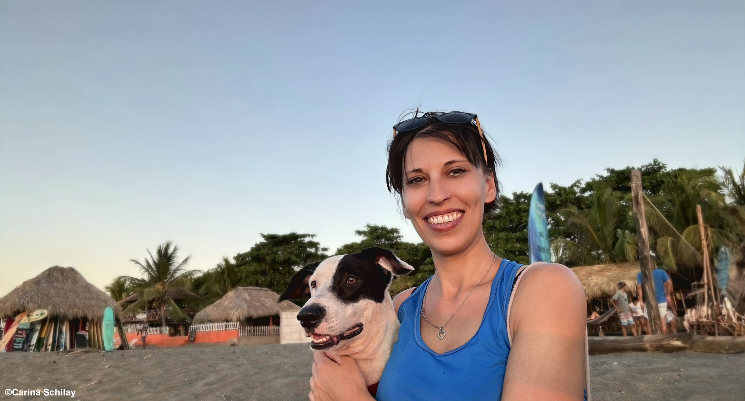 Person in blauem Tanktop hält einen weiß-schwarzen Hund am Strand. Im Hintergrund sind Strohhütten, Surfboards, Palmen und einige Leute zu sehen.