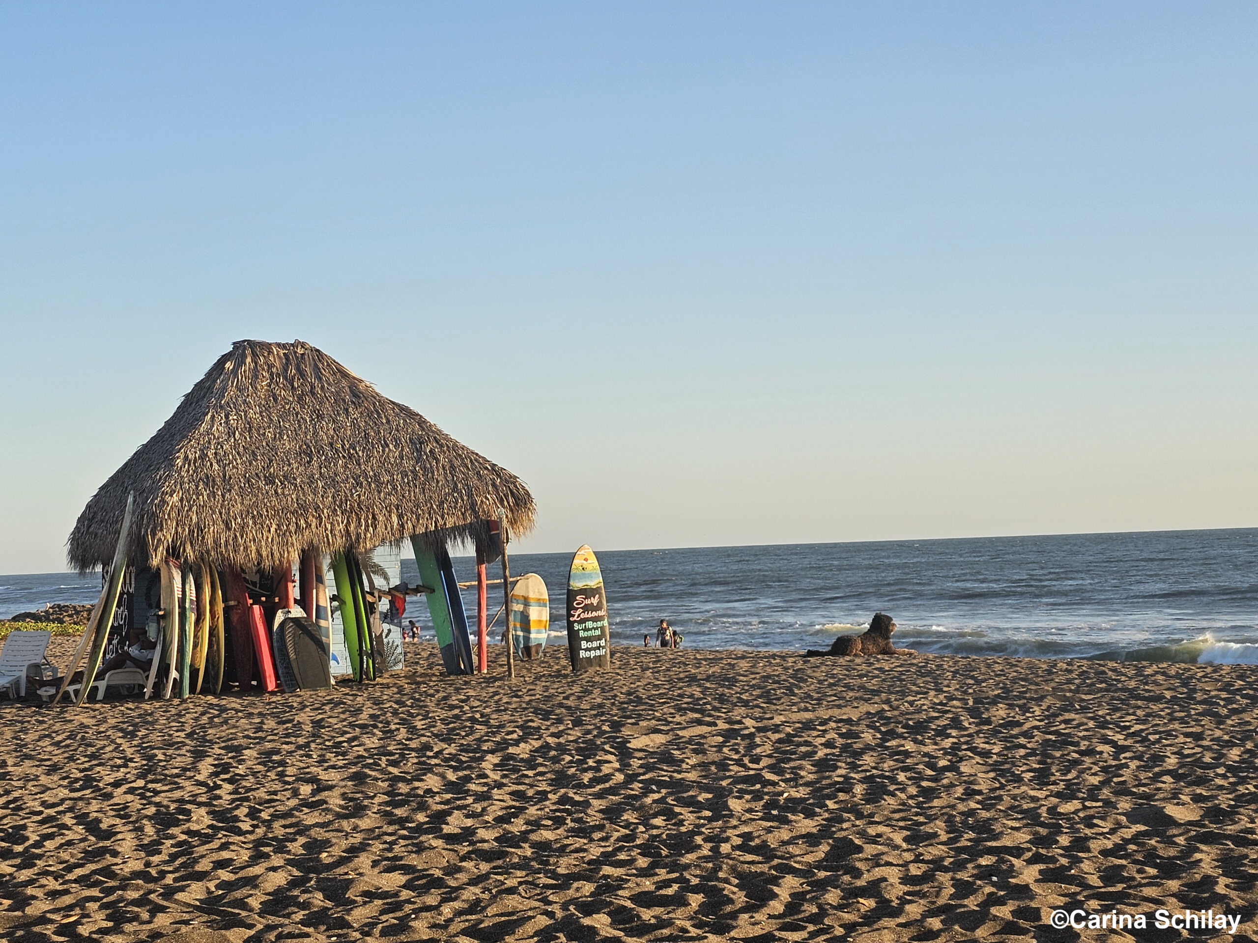 Strandhütte mit Strohdach, umgeben von bunten Surfboards, am sonnigen Strand mit sanften Wellen im Hintergrund und einem Hund der aufs Meer blickt.